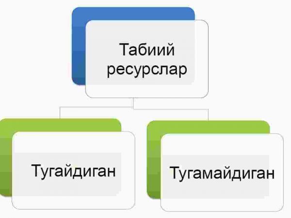 Tabiiy resurslar va ulardan samarali foydalanishning iqyisodiy va ekologik xususiyatlari - Image 4