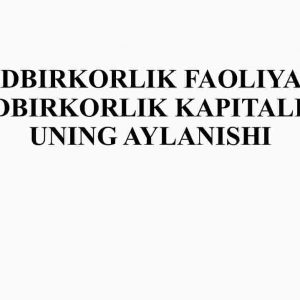 Tadbirkorlik faoliyati. Tadbirkorlik kapitali va uning aylanishi
