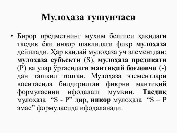 Tafakkurning universal shakllari (tushuncha, mulohaza, xulosa) - Image 3