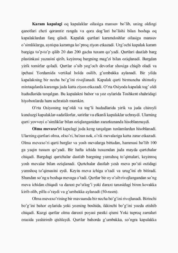 Tangacha qanotlilar turkumi - Image 3