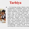 Tarbiya shakllari - Image 4