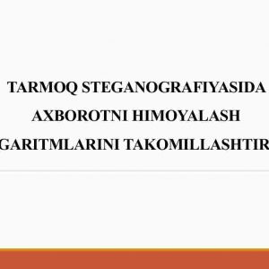 Tarmoq steganografiyasida axborotni himoyalash algaritmlarini takomillashtirish
