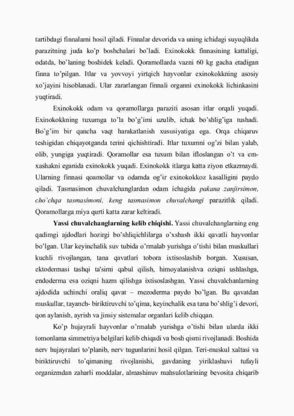 Tasmasimon chuvalchanglar sinfi - Image 4
