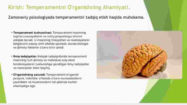 Temperamentni o'rganish metodikasi - Image 3