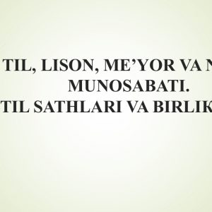 Til, lison, me'yor va nutq munosabatlari. Til sathlari va birliklari