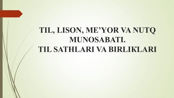 Til, lison, me'yor va nutq munosabatlari. Til sathlari va birliklari