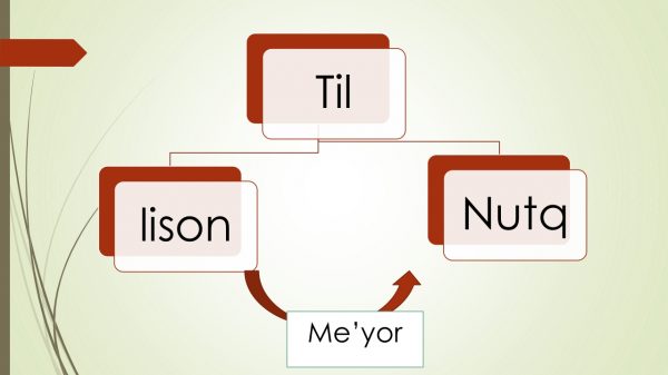 Til, lison, me'yor va nutq munosabatlari. Til sathlari va birliklari - Image 3