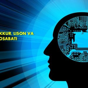 Til va tafakkur, lison va nutq munosabati