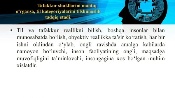 Til va tafakkur, lison va nutq munosabati - Image 2