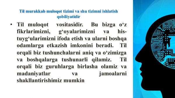 Til va tafakkur, lison va nutq munosabati - Image 3