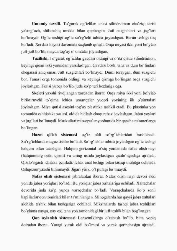 To'garak og'izlilar sinfi - Image 2