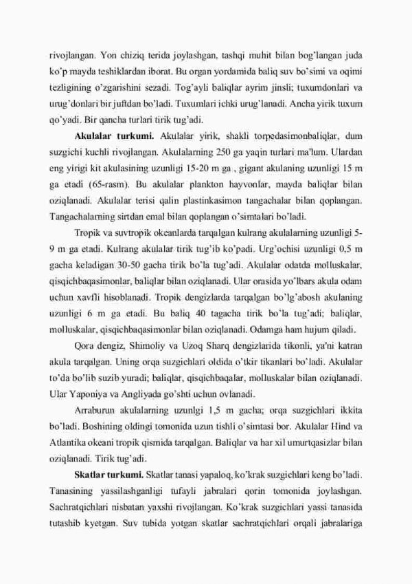 Umurtqalilar, ya'ni boshqutililar kenja tipi - Image 3