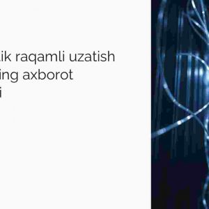 Tolali optik raqamli uzatish tizimlarining axborot xavfsizligi