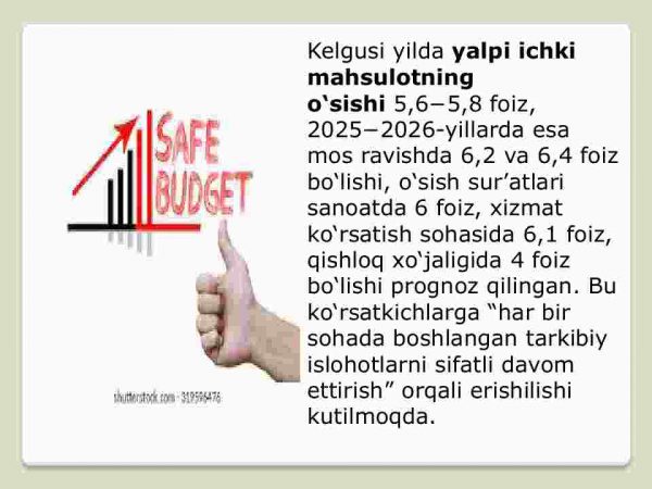 O'zbekiston Respublikasi budjet-soliq siyosati - Image 3