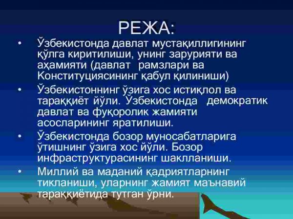 O'zbekistonning o'ziga xos  istiqlol va taraqqiyot yo'li - Image 2