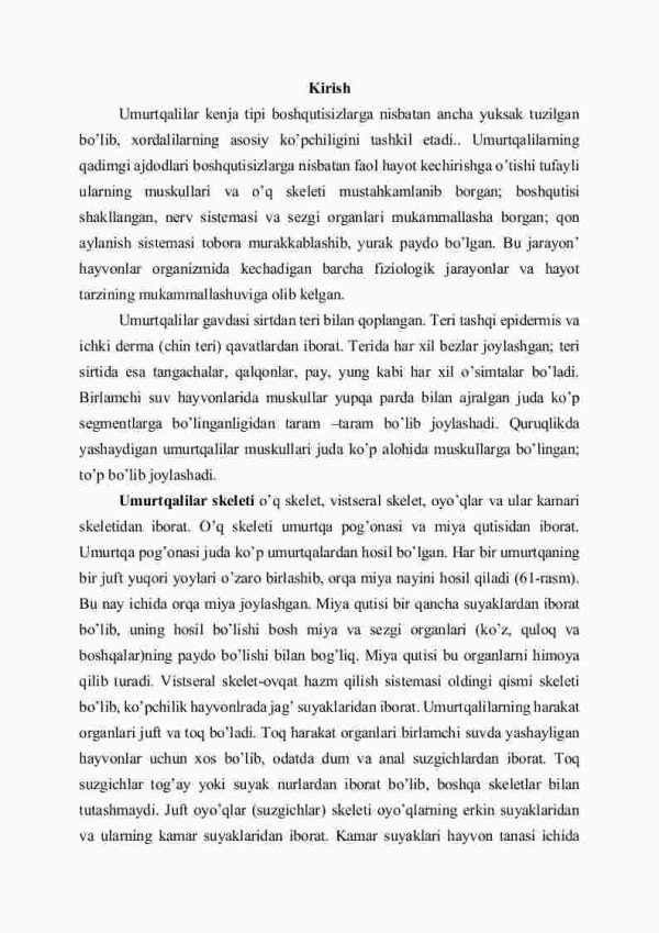 Umurtqalilar, ya'ni boshqutililar kenja tipi - Image 2