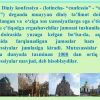 O'zbekistonda faoliyat yurituvchi diniy tashkilotlar - Image 3