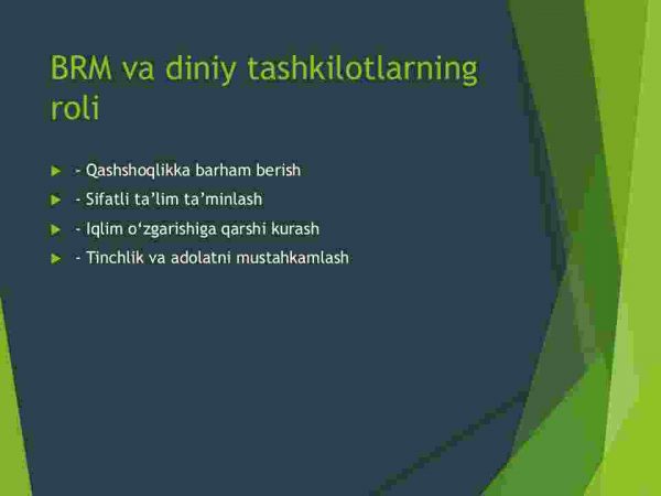 Xalqaro diniy tashkilotlar va barqaror rivojlanish - Image 4