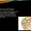 Хulq - atvor iqtisodiyoti nazariyasining shakllanishi manbalari - Image 4
