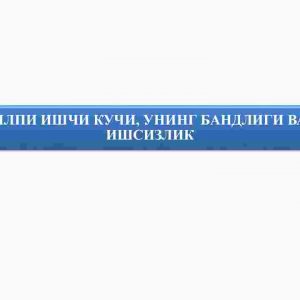 Yalpi ishchi kuchi, uning bandligi va ishsizlik