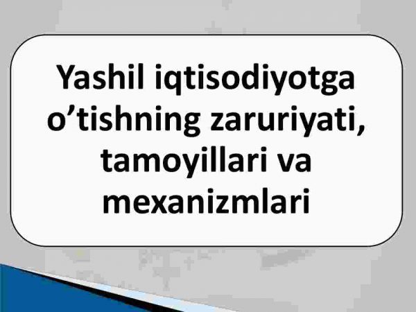 Yashil iqtisodiyotga o'tishning zaruriyati, tamoyillari va mexanizmlari