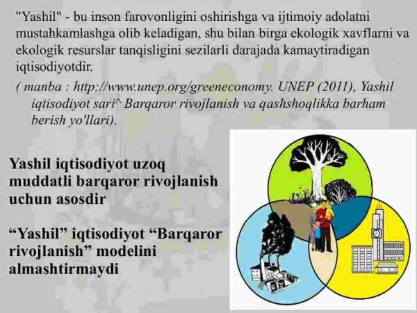 Yashil iqtisodiyotga o'tishning zaruriyati, tamoyillari va mexanizmlari - Image 3