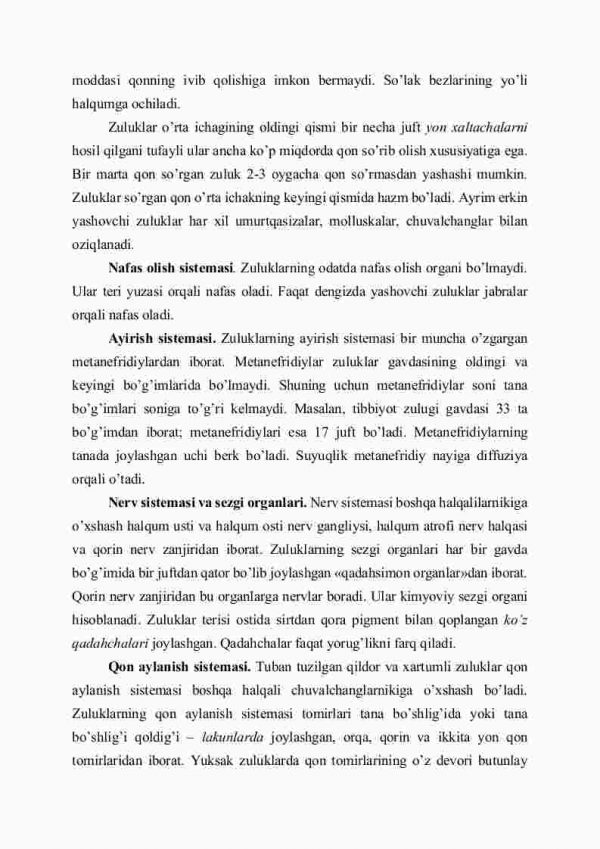 Zuluklar sinfi - Image 3