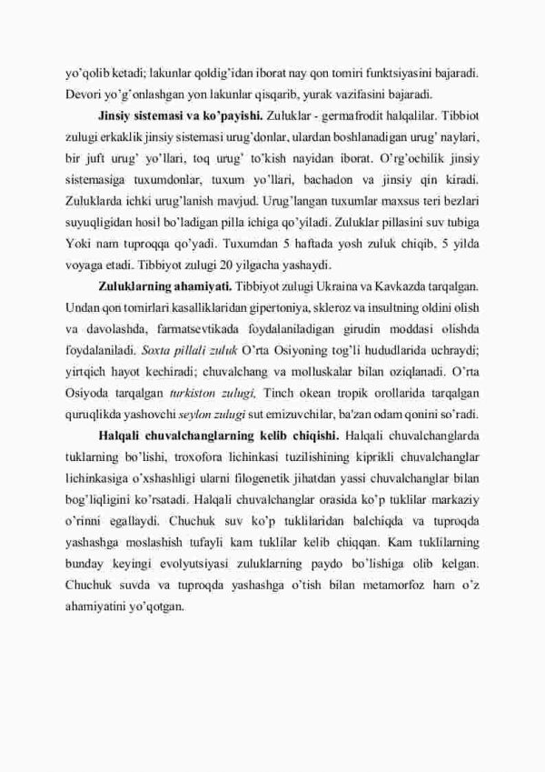 Zuluklar sinfi - Image 4