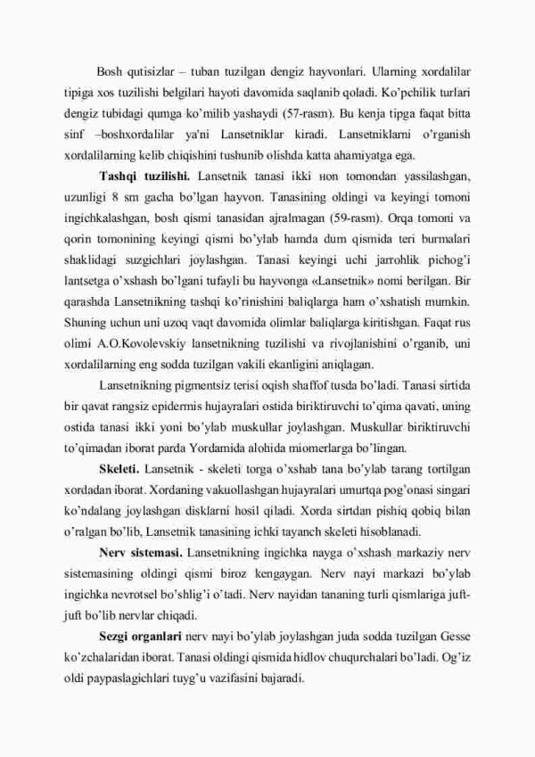 Boshqutisizlar kеnja tipi - Image 2