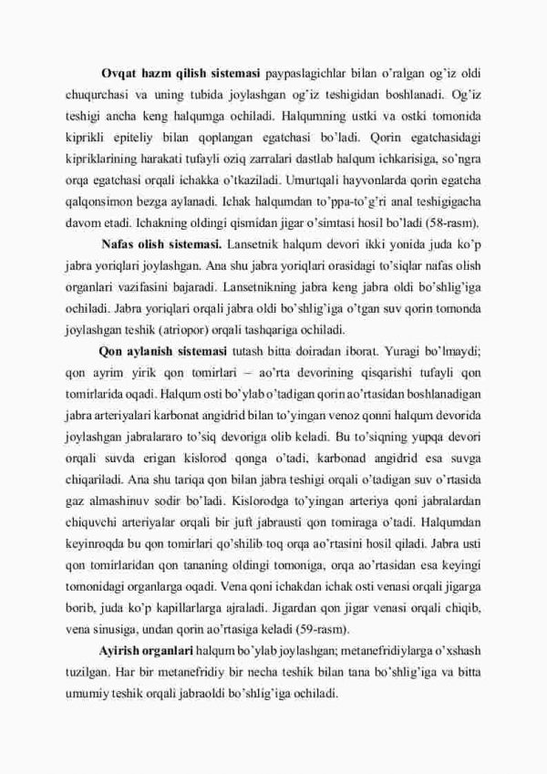 Boshqutisizlar kеnja tipi - Image 3