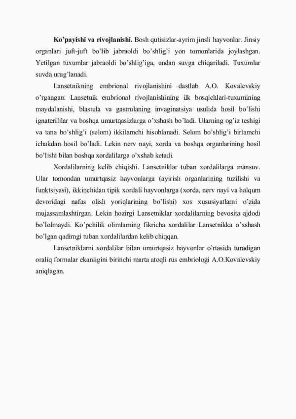 Boshqutisizlar kеnja tipi - Image 4