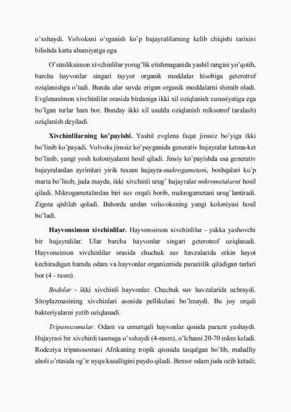 Хivchinlilаr sinfi - Image 3