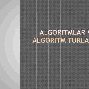 Algoritmlar va algoritm turlari