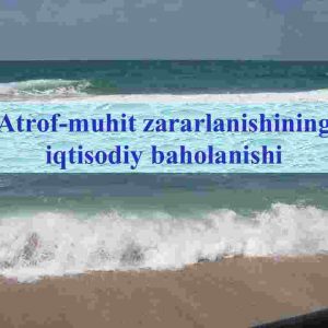 Аtrof-muhit zararlanishining iqtisodiy baholanishi