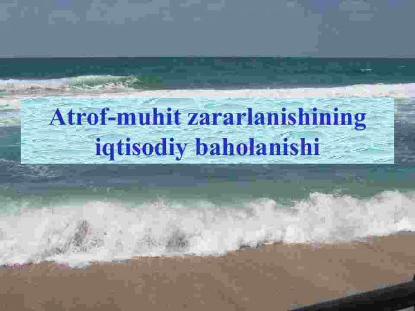 Аtrof-muhit zararlanishining iqtisodiy baholanishi