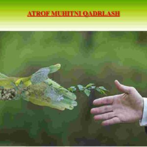 Atrof-muhitni qadrlash