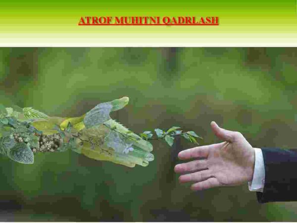 Atrof-muhitni qadrlash
