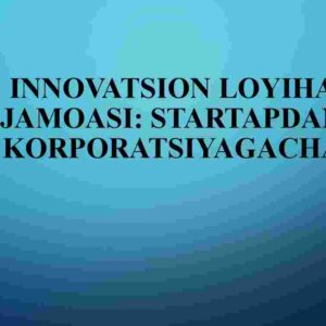 Innovatsion loyiha jamoasi: startapdan korporatsiyagacha