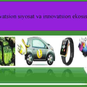 Innovatsion siyosat va innovatsion ekosistema