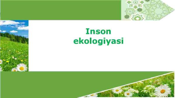 Inson ekologiyasi