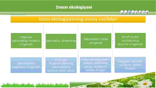Inson ekologiyasi - Image 4