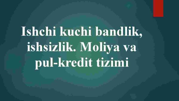 Ishchi kuchi bandlik, ishsizlik. Moliya va pul-kredit tizimi