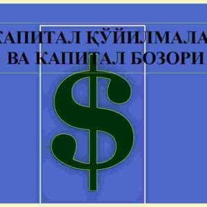 Kapital qo'yilmalar va kapital bozori