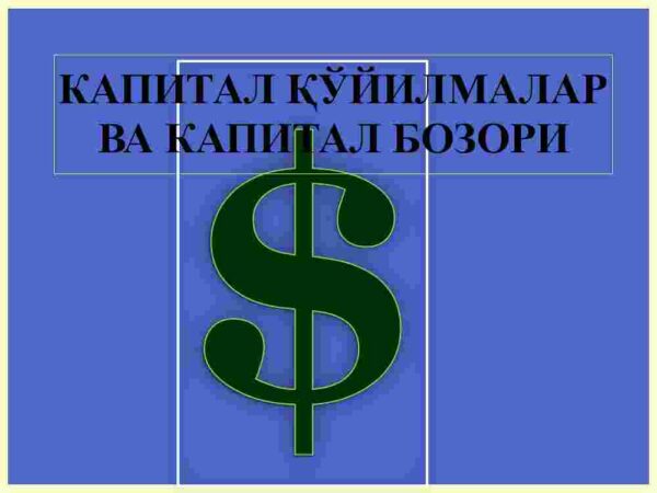 Kapital qo'yilmalar va kapital bozori