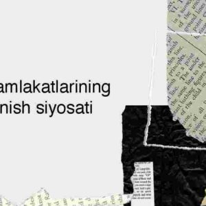 MDH mamlakatlarining rivojlanish siyosati