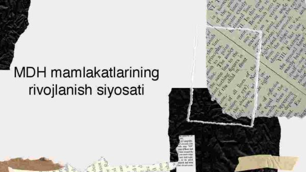 MDH mamlakatlarining rivojlanish siyosati