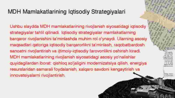 MDH mamlakatlarining rivojlanish siyosati - Image 3