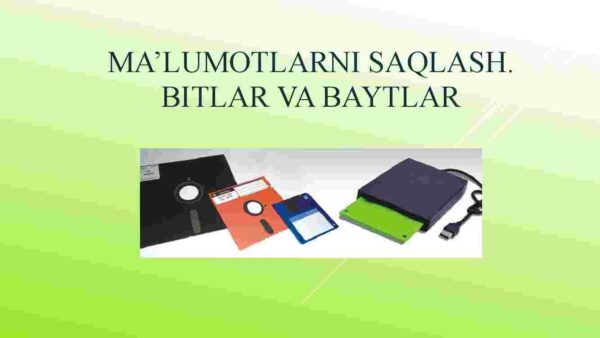 Ma'lumotlarni saqlash. Bitlar va baytlar