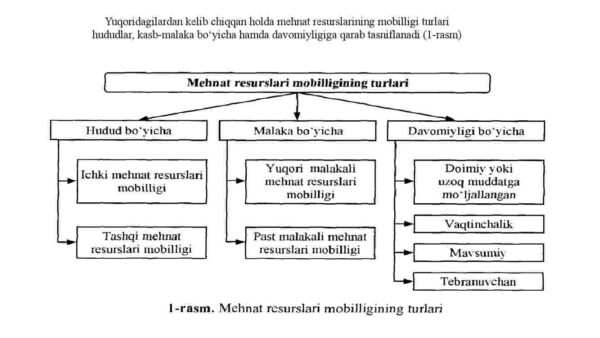 Mehnat bozorida mehnat resurslarining mobilligi va migratsiyasi - Image 4