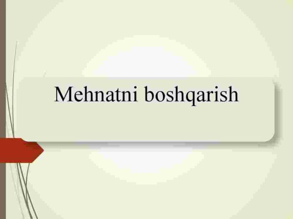 Mehnatni boshqarish
